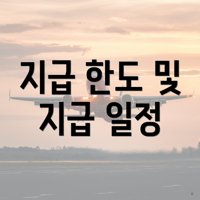 지급 한도 및 지급 일정