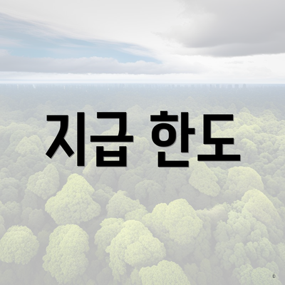 지급 한도
