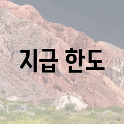 지급 한도