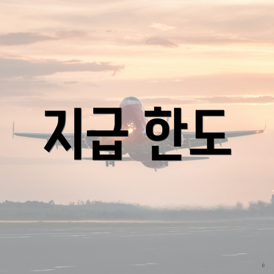 지급 한도