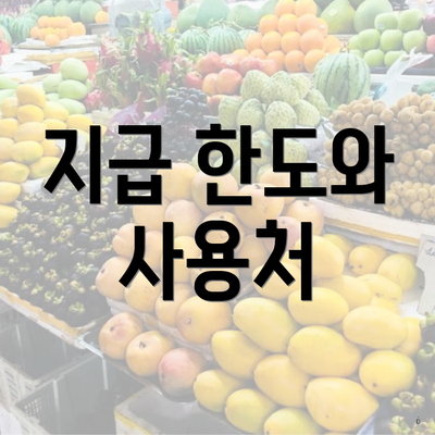 지급 한도와 사용처