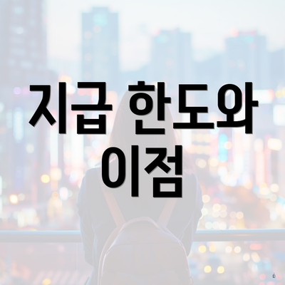 지급 한도와 이점