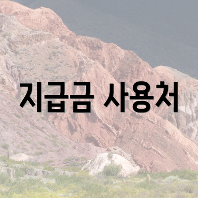 지급금 사용처