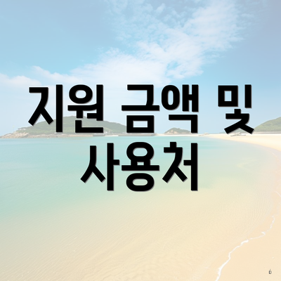 지원 금액 및 사용처