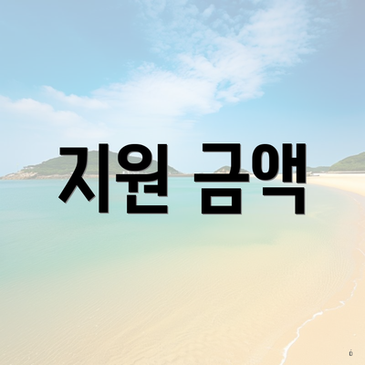 지원 금액