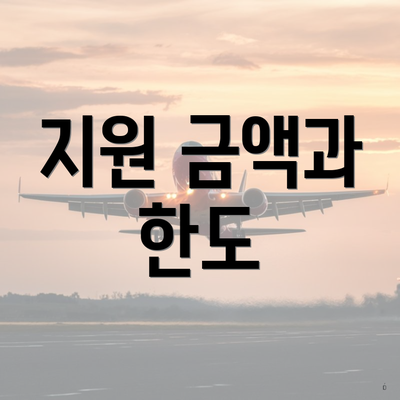지원 금액과 한도