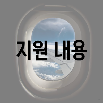 지원 내용
