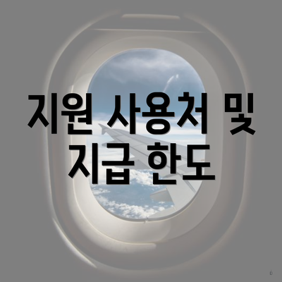 지원 사용처 및 지급 한도