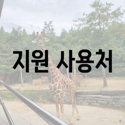 지원 사용처