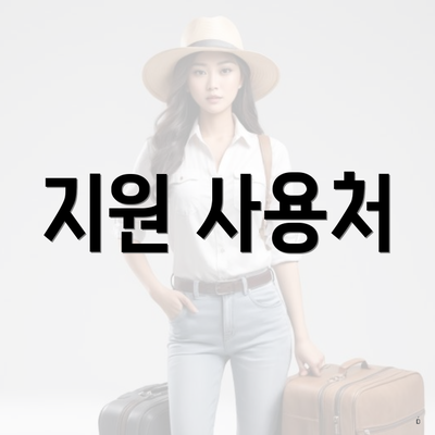지원 사용처