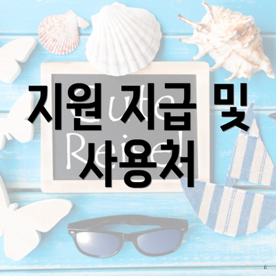 지원 지급 및 사용처