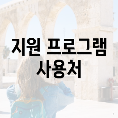 지원 프로그램 사용처