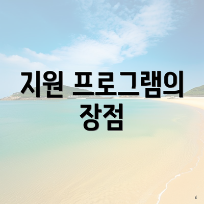 지원 프로그램의 장점
