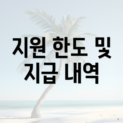 지원 한도 및 지급 내역