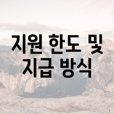 지원 한도 및 지급 방식
