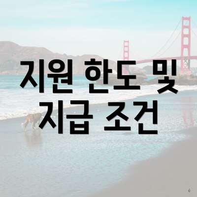 지원 한도 및 지급 조건