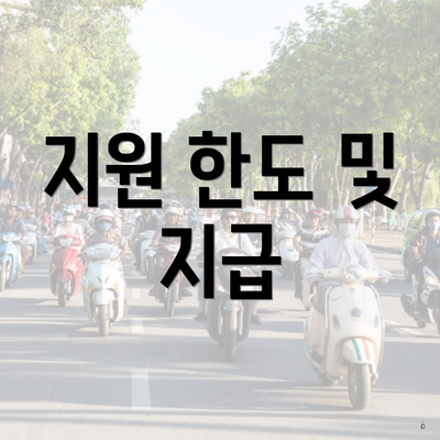 지원 한도 및 지급