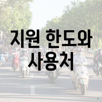 지원 한도와 사용처