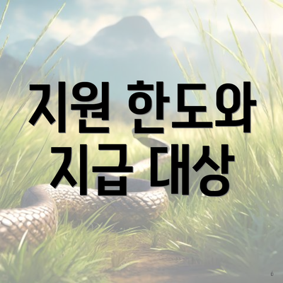 지원 한도와 지급 대상