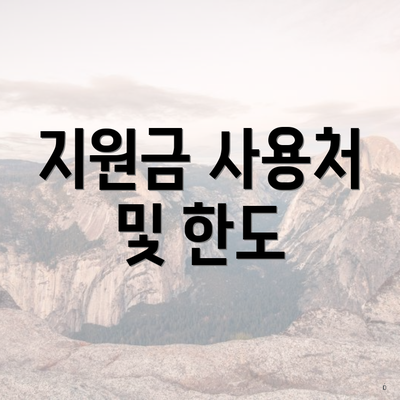 지원금 사용처 및 한도