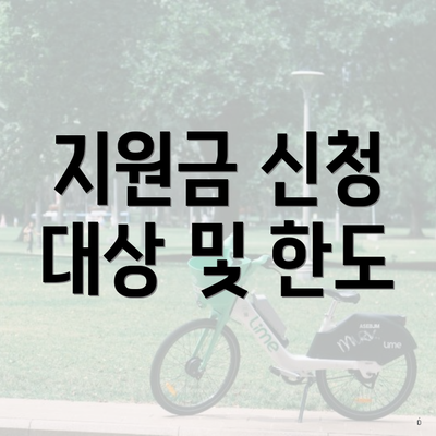 지원금 신청 대상 및 한도