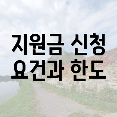지원금 신청 요건과 한도