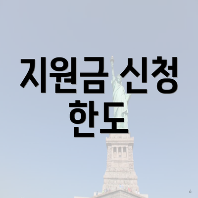지원금 신청 한도
