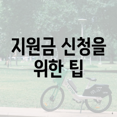 지원금 신청을 위한 팁