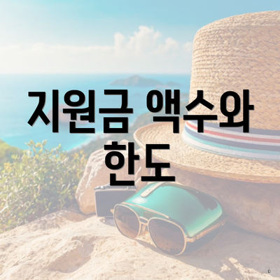 지원금 액수와 한도