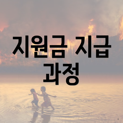 지원금 지급 과정
