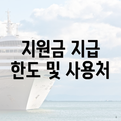 지원금 지급 한도 및 사용처