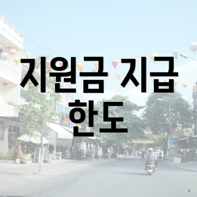 지원금 지급 한도