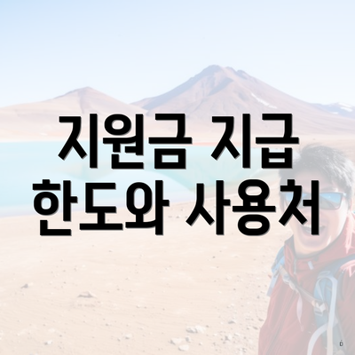 지원금 지급 한도와 사용처