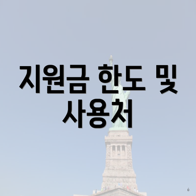 지원금 한도 및 사용처