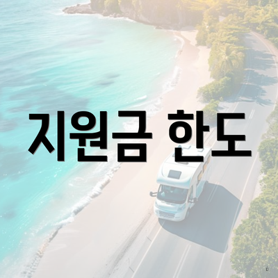 지원금 한도