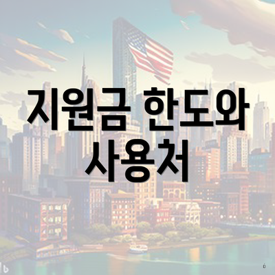 지원금 한도와 사용처