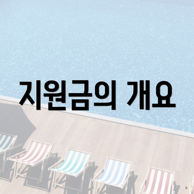 지원금의 개요