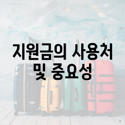 지원금의 사용처 및 중요성