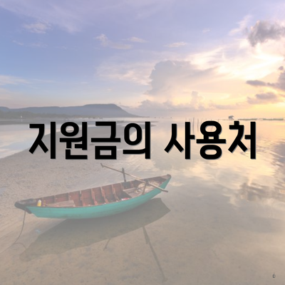 지원금의 사용처