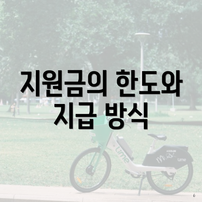 지원금의 한도와 지급 방식