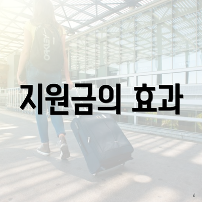 지원금의 효과