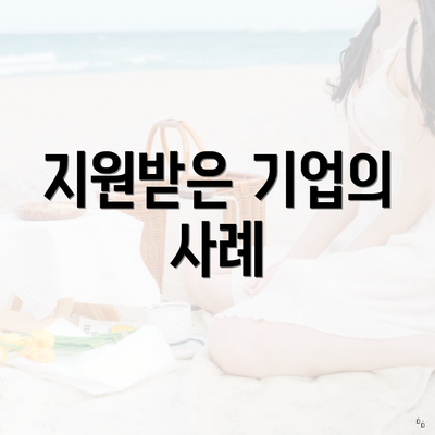 지원받은 기업의 사례