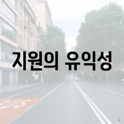지원의 유익성