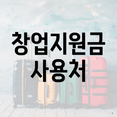 창업지원금 사용처