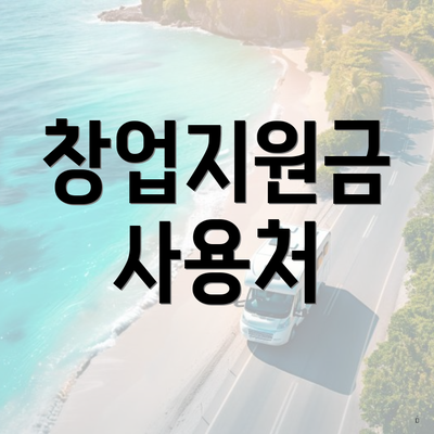 창업지원금 사용처