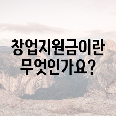 창업지원금이란 무엇인가요?
