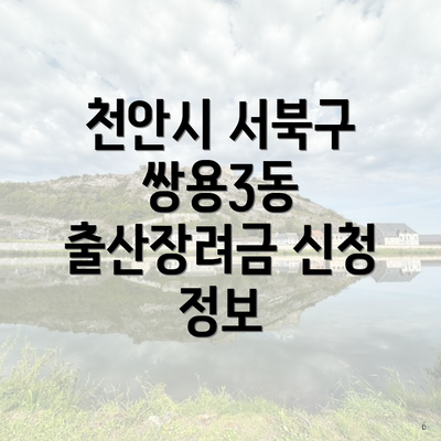 천안시 서북구 쌍용3동 출산장려금 신청 정보