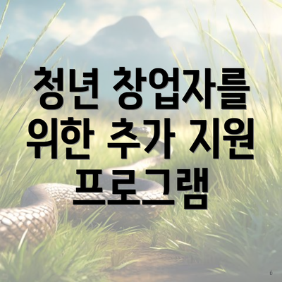청년 창업자를 위한 추가 지원 프로그램