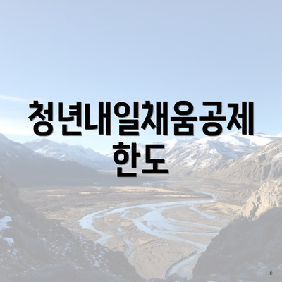 청년내일채움공제 한도