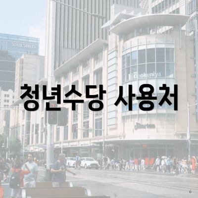 청년수당 사용처